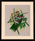 Three Green Birds on Blossoming Branches — Cloth Painting (14×11 in)