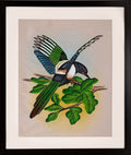 Paradise Flycatcher Spreading its Wings — Cloth Painting (14×11 in)