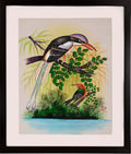 Indian Roller and Woodpecker by the Water — Bird Miniature on Paper (14×11 in)