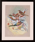 Three Thrushes among Red Berries and Autumn Foliage — Bird Miniature on Paper (14×11 in)