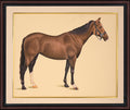 Bay Horse — Single-Brush Miniature on Paper (14×11 in)