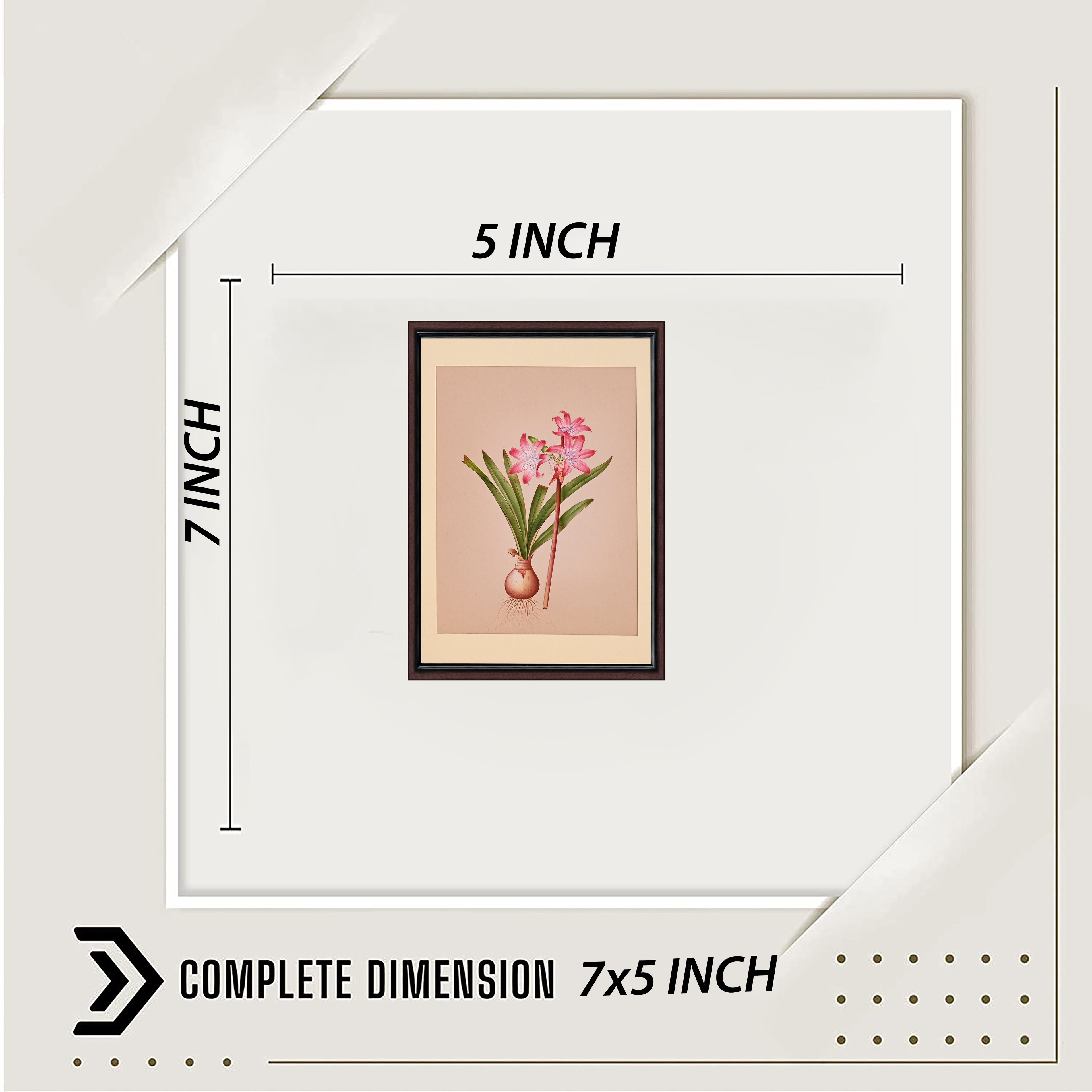 Crinum lily painting with dimensions