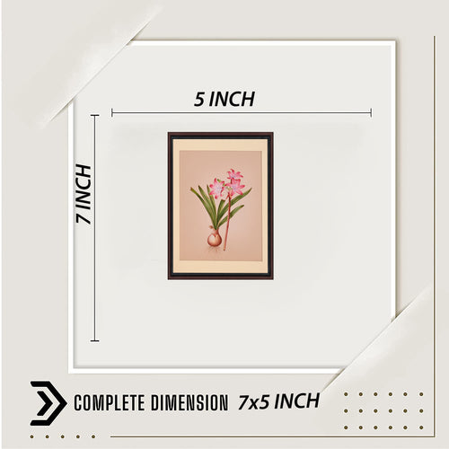 Crinum lily painting with dimensions