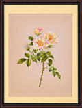 Wild rose paper painting - full view
