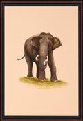 Indian elephant paper painting - full view